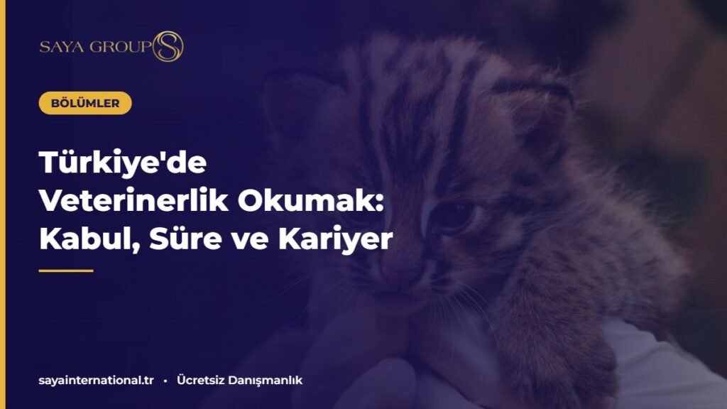 Köpeği muayene eden veteriner hekim